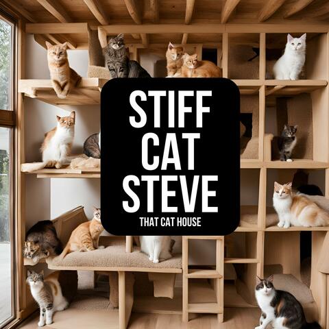 That Cat House