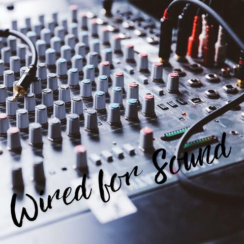 Wired for Sound