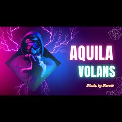 Aquila Volans