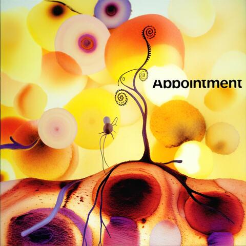 Appointment