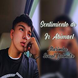Sentimiento de Jr Abimael