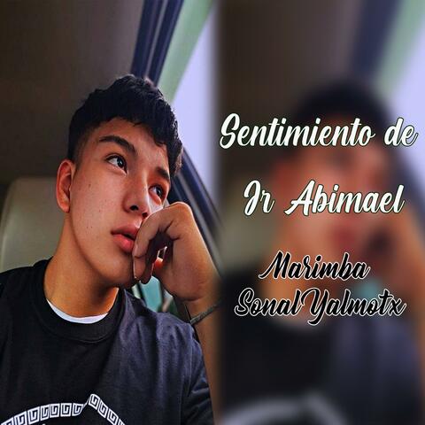 Sentimiento de Jr Abimael