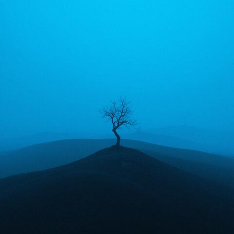 all alone
