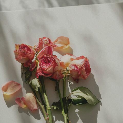 dry flower
