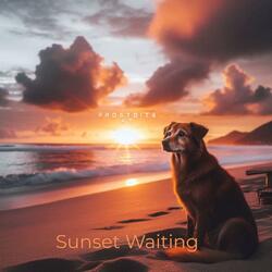 Sunset Waiting