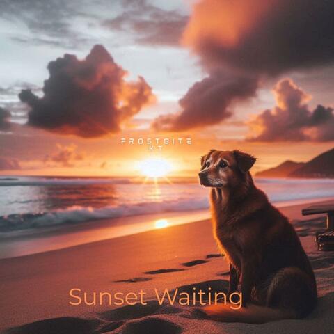 Sunset Waiting