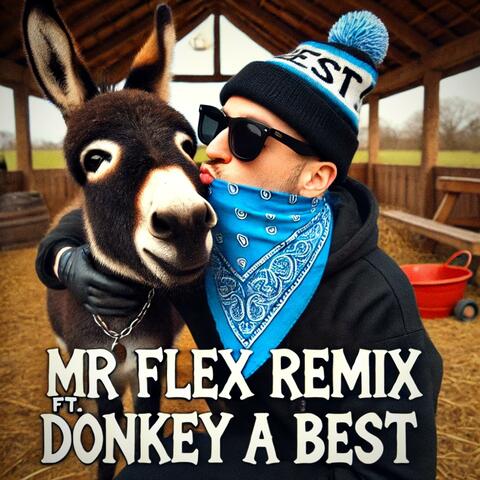 Mr Flex Remix (feat. Donkey a Best)