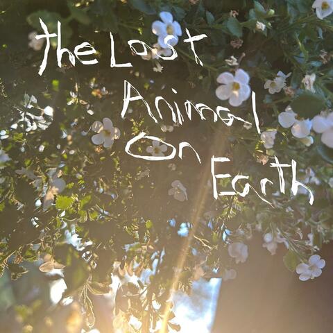 the last animal on earth