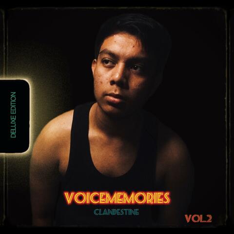 Voicememories, Vol. 2 Clandestine
