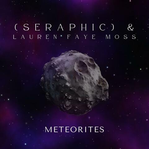 Meteorites
