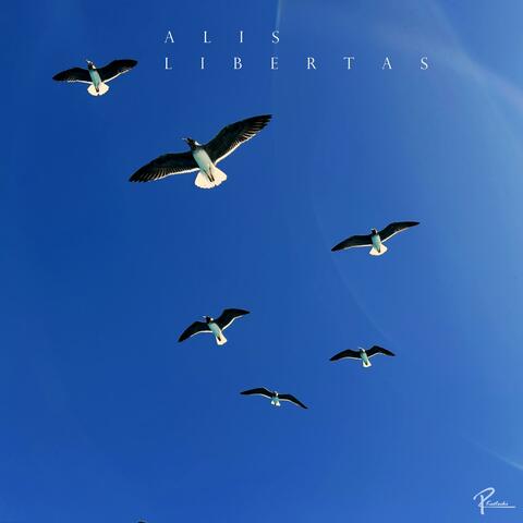 Alis Libertas