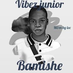 Bamishe