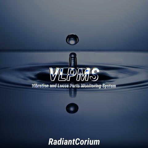 Vibration and Loose Parts Monitoring System