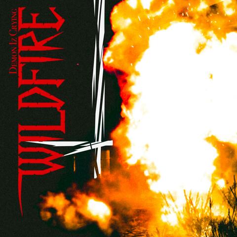Wildfire