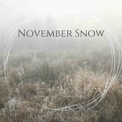 November Snow