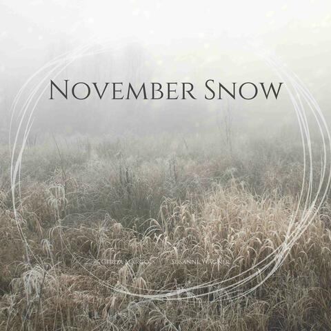 November Snow