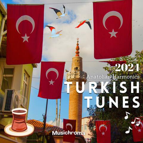Turkish Tunes 2024