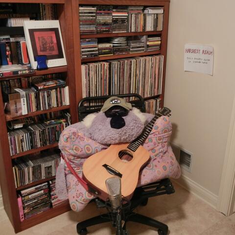 Solo Acoustic Guitar In Standard Tuning