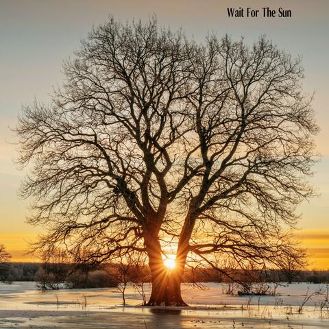Wait For The Sun