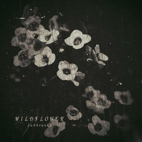 Wildflower