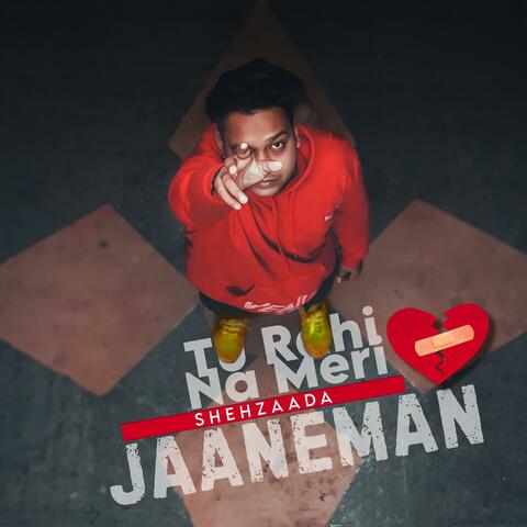 Tu Rahi Na Meri Jaaneman