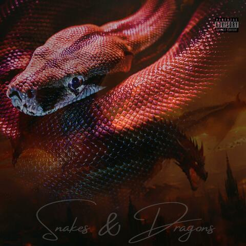 SNAKES & DRAGONS