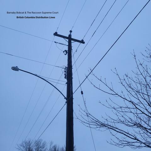 British Columbia Distribution Lines