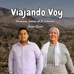 Viajando Voy