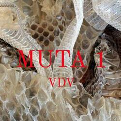 MUTA 1