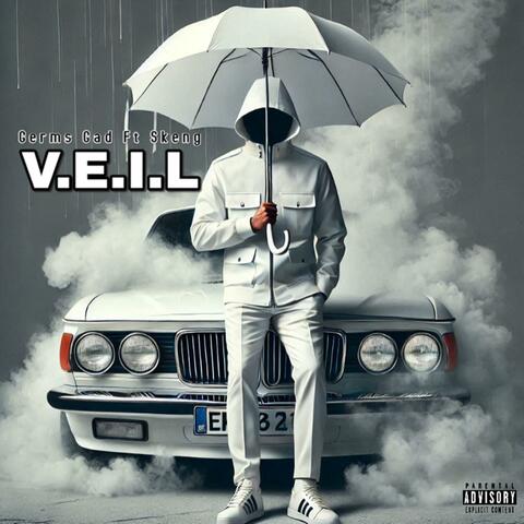 V.E.I.L