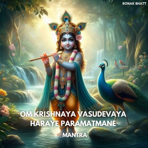 Om Krishnaya Vasudevaya  Haraye Paramatmane mantra