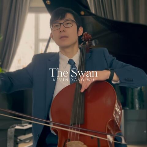 The Swan