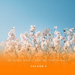 Soothing Nature Sounds Blended With Gentle Ambient Music For Ultimate Relaxation And Mental Clarity