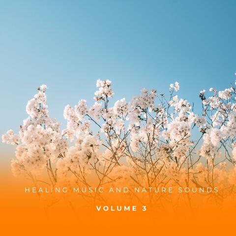 Healing Music And Nature Sounds Vol. 3