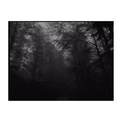 Aleyand Atrum