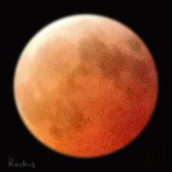 Universe (feat. Richy Contra)