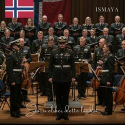 Ja, vi elsker dette landet