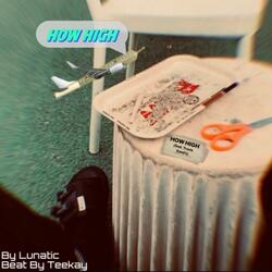 How High (feat. Travis Sand's)