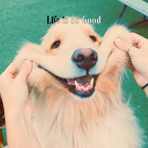 Life is so good