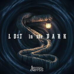 Lost in the Dark