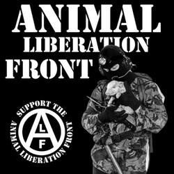 Animal Liberation Now