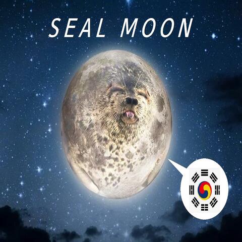 Seal Moon