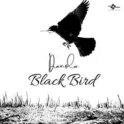 Black Bird