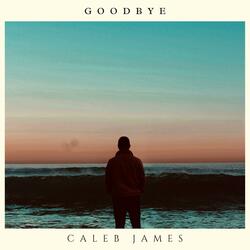 Goodbye