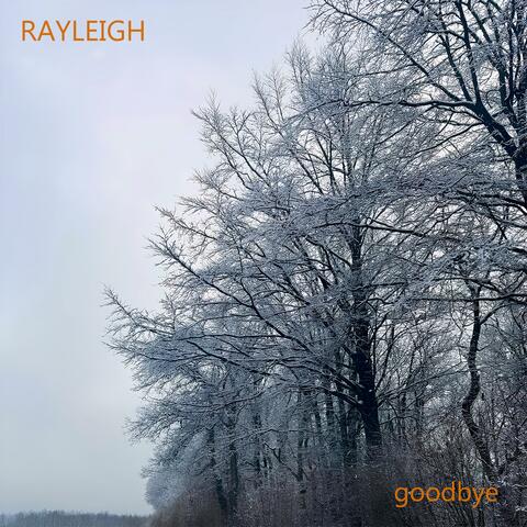 Goodbye