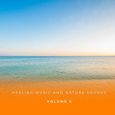 Healing Music And Nature Sounds Vol. 5