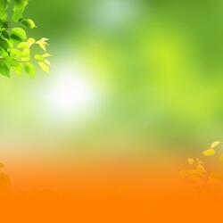 Peaceful Nature Soundscape With Calming Piano And Healing Ambient Music For Deep Relaxation