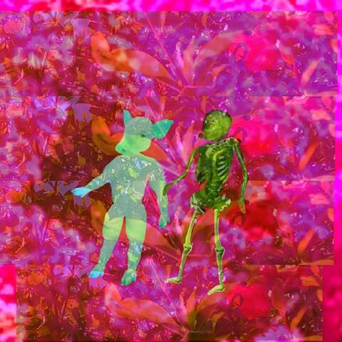 Bougainvillea