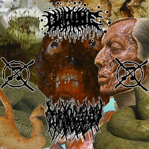 Crap for Brains (split)