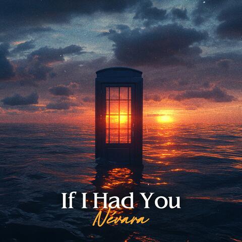 If I Had You